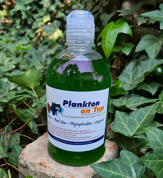 planktonontap-phyto-500ml-550x600