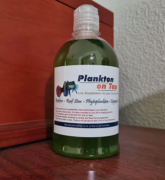 planktonontap-phyto-500ml2-550x600